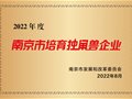 云創(chuàng)大數(shù)據(jù)榮膺“2022年度南京市培育獨(dú)角獸企業(yè)”！